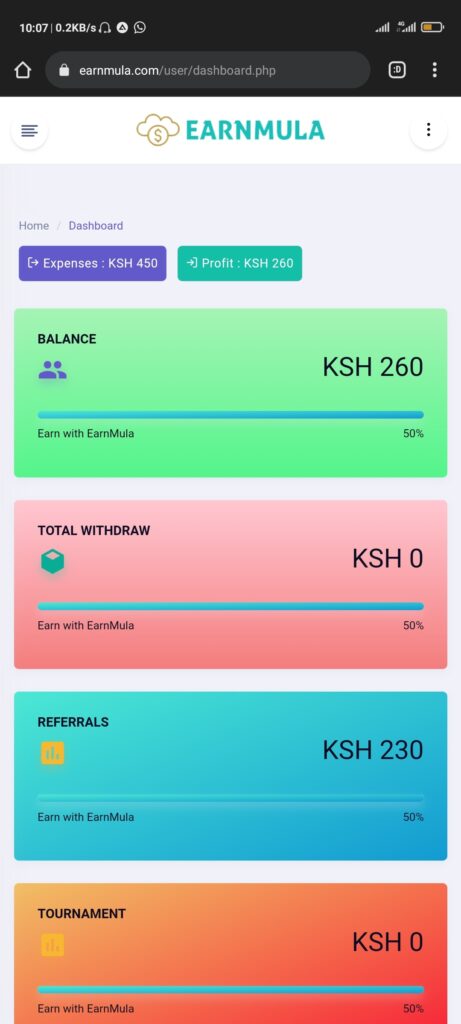 EarnMula Online business dashboard 1