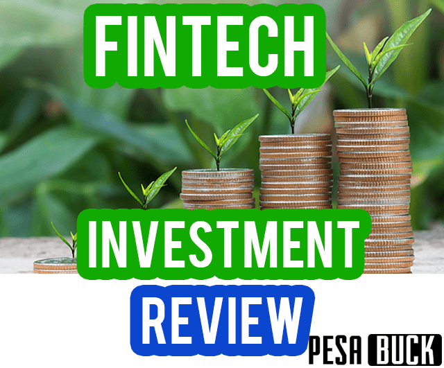 Fintech Investments Review