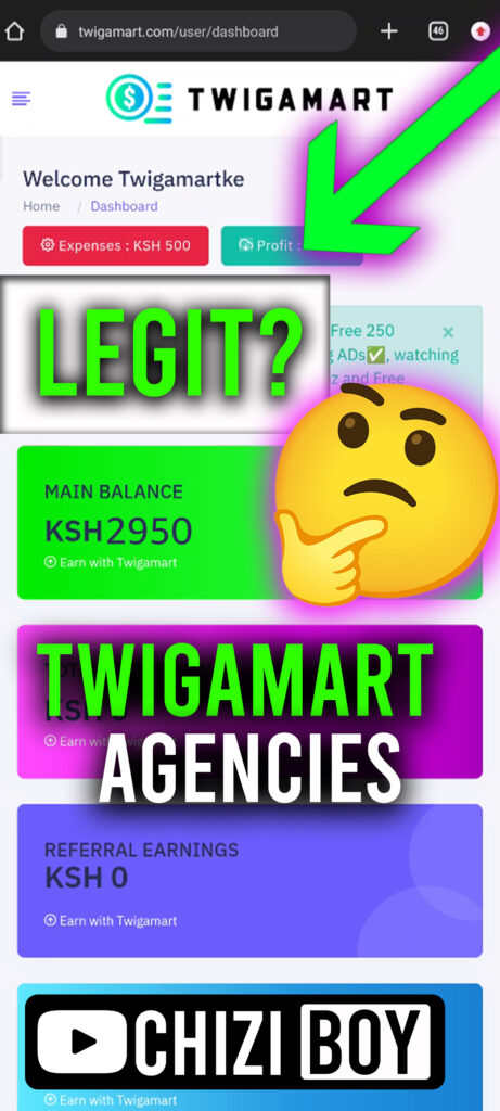Twigamart Agencies Review